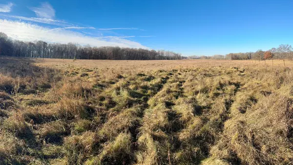 26XXX 175th Ave, Fort Ripley, MN 56449