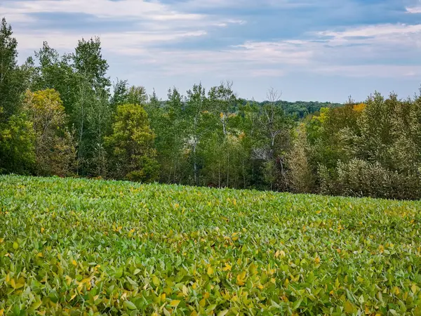 34774 400th ST St SE, Fosston, MN 56542