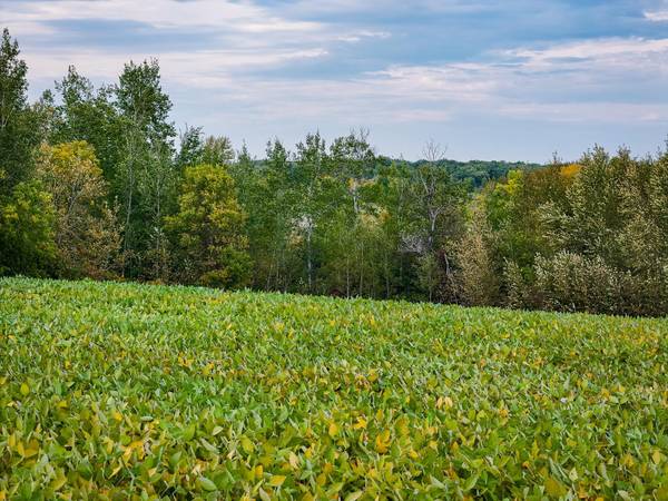 34774 400th ST St SE, Fosston, MN 56542