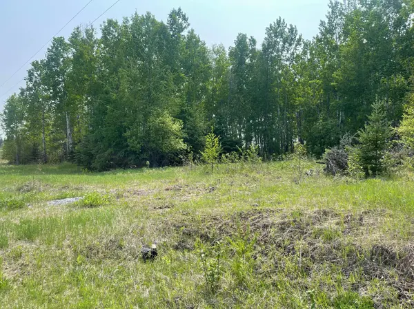 8017 N Savanna RD, Floodwood, MN 55736