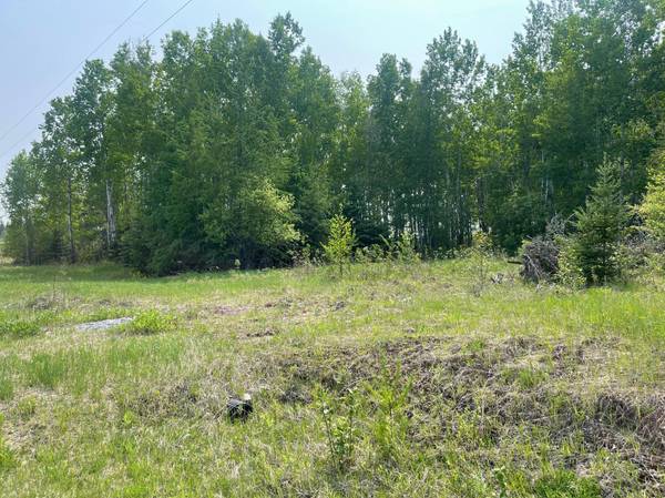8017 N Savanna RD, Floodwood, MN 55736