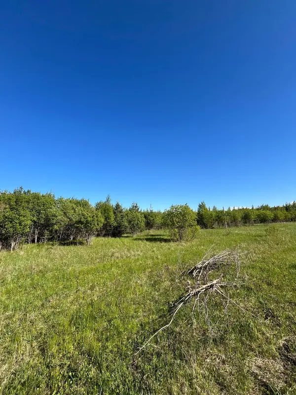 Lot 4 - TBD 330th ST, Warroad, MN 56763