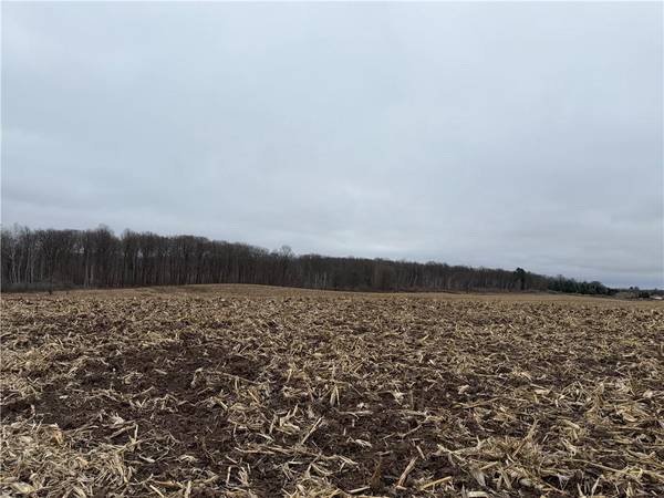 Lot 1 County Hwy D, Sarona, WI 54870