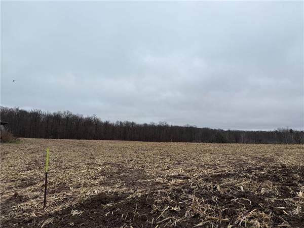 Lot 1 County Hwy D, Sarona, WI 54870
