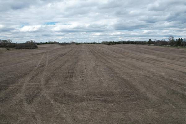 TBD 190th ST, Pelican Rapids, MN 56572