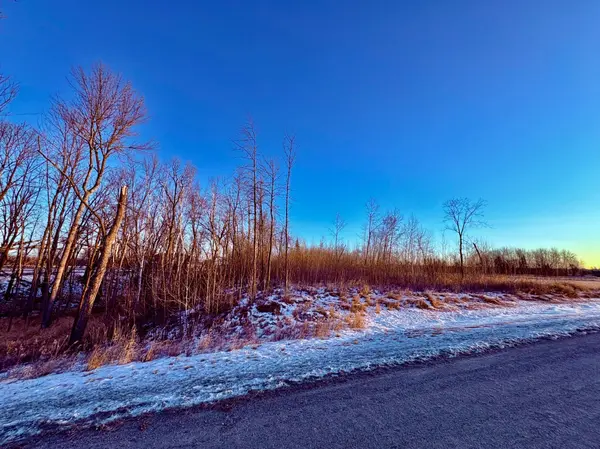 Lot 6 Hooper Creek Loop NW, Baudette, MN 56623