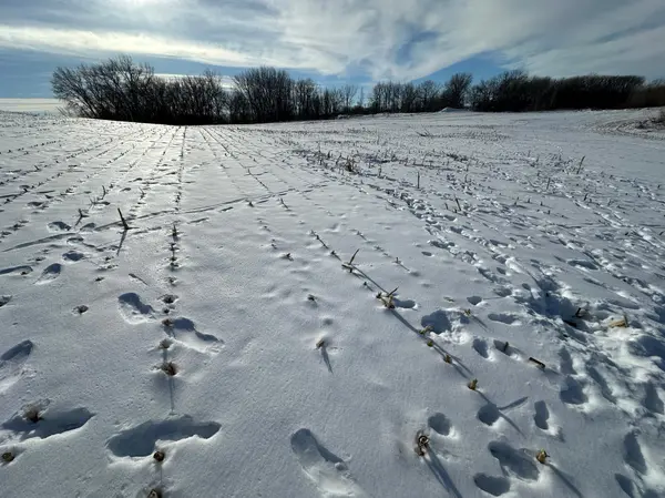 TBD Co Hwy 10, Fergus Falls, MN 56537