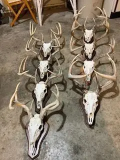 na na, Albert Lea, MN 56007