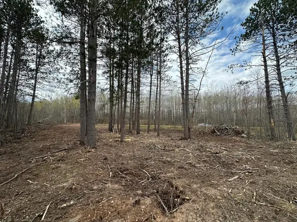 TBD #1 Koecher RD, Kerrick, MN 55756