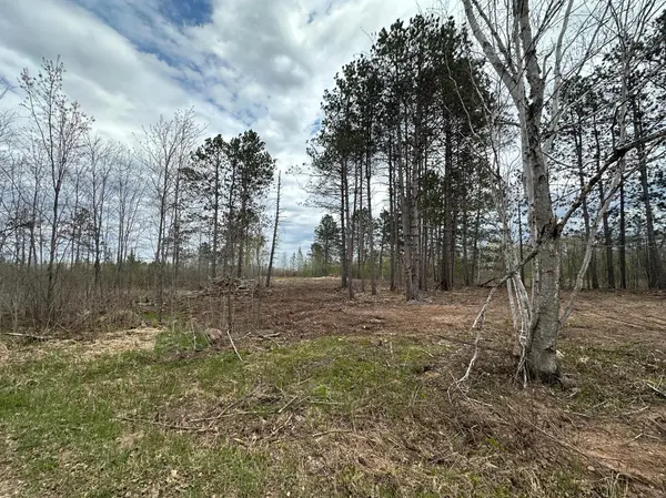 TBD #1 Koecher RD, Kerrick, MN 55756