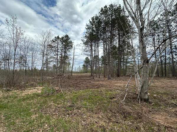 TBD #1 Koecher RD, Kerrick, MN 55756