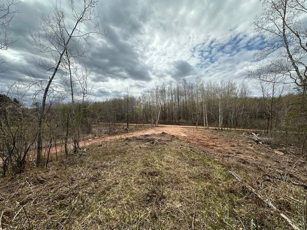 TBD #2 Koecher RD, Kerrick, MN 55756
