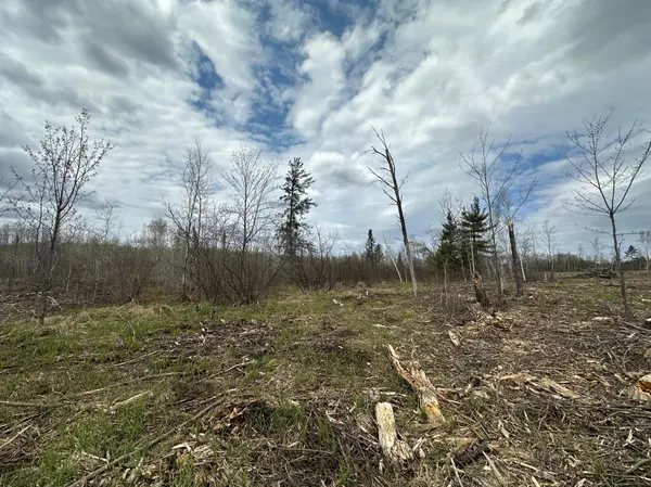 TBD #2 Koecher RD, Kerrick, MN 55756