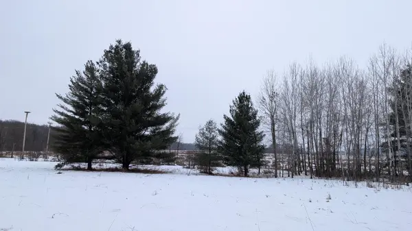 TBD Hummingbird RD, Long Prairie, MN 56347