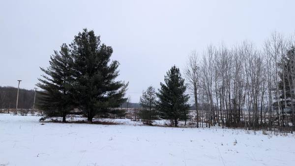 TBD Hummingbird RD, Long Prairie, MN 56347