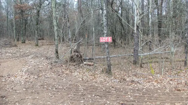 Lot 5 Cnute Creek Trl, Grantsburg, WI 54840