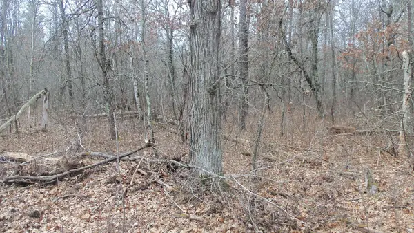 Lot 5 Cnute Creek Trl, Grantsburg, WI 54840