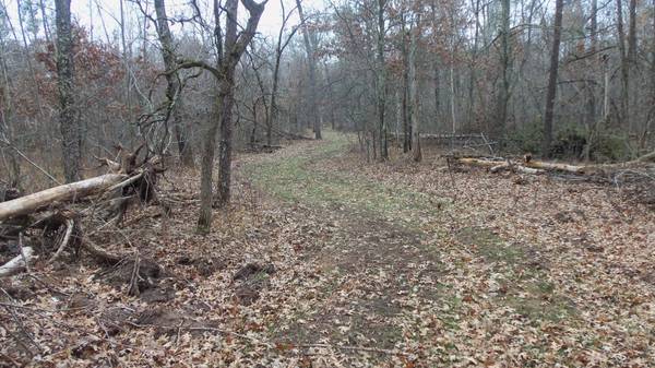 Lot 5 Canute Creek Trl, Grantsburg, WI 54840