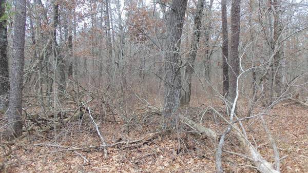 Lot 5 Canute Creek Trl, Grantsburg, WI 54840