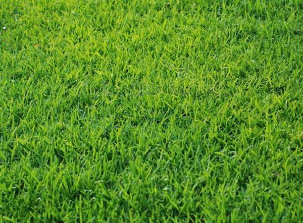 5112 Sydnie RD NW, Rochester, MN 55901
