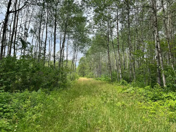W37XX Frog Creek Road, Minong, WI 54859