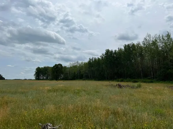 W37XX Frog Creek Road, Minong, WI 54859