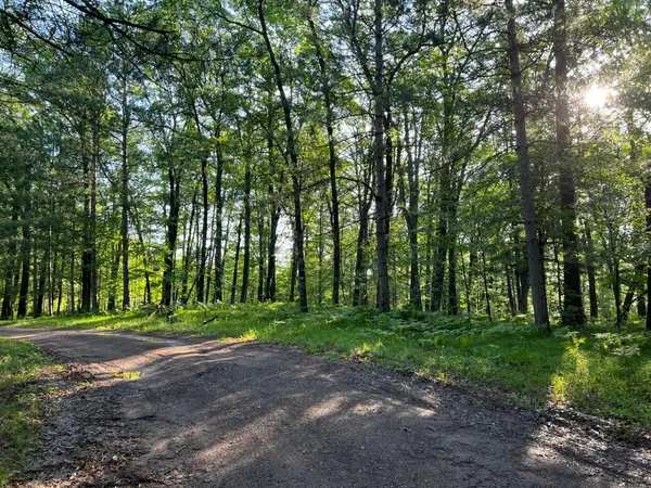 W76XX Chicog Lake Estate Road, Minong, WI 54888