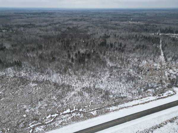 TBD US-71, Big Falls, MN 56627