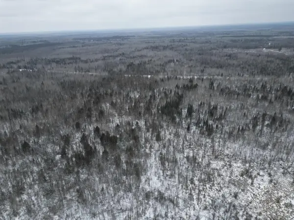 TBD US-71, Big Falls, MN 56627