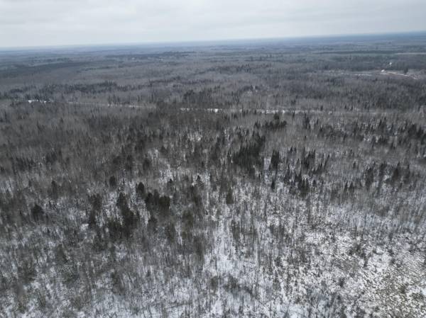 TBD US-71, Big Falls, MN 56627