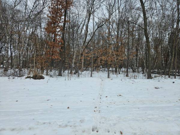 Lot 1, Block 2 2 1/2 AVE NE, Saint Stephen, MN 56375