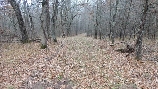 Lot 6 Canute Creek Trl, Grantsburg, WI 54840