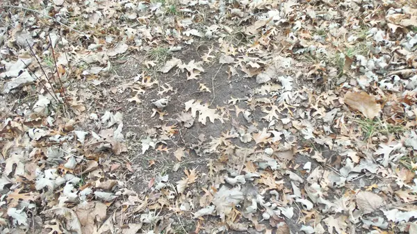 Lot 6 Canute Creek Trl, Grantsburg, WI 54840