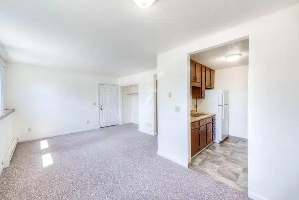 18 NE Schmitz ST, Adams, MN 55909