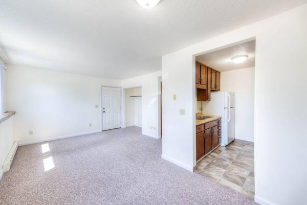 18 NE Schmitz ST, Adams, MN 55909