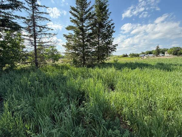 8292 Cabot AVE, Medford, MN 55049