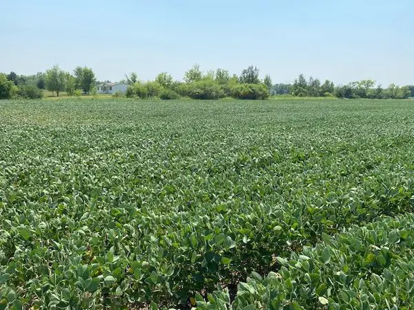 TBD 160th St., Foreston, MN 56330