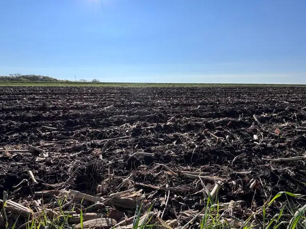 TBD Grandview Rd, Elbow Lake, MN 56531