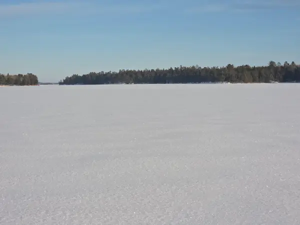 TBD Keyes Island, International Falls, MN 56649