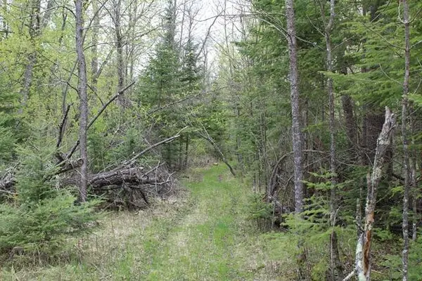 TBD COUNTY RD 19, Deer River, MN 56636