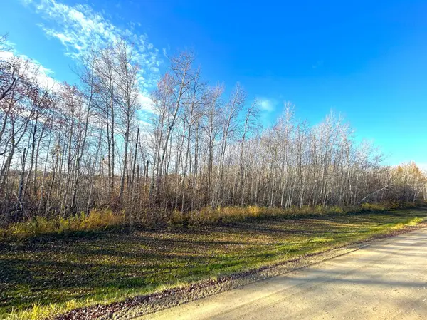 36615 County Road 13, Warroad, MN 56756