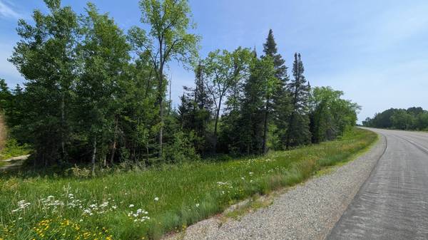 TBD Hwy. 22, Cook, MN 55703