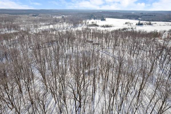 TBD Chestnut Ln, Garrison, MN 56450