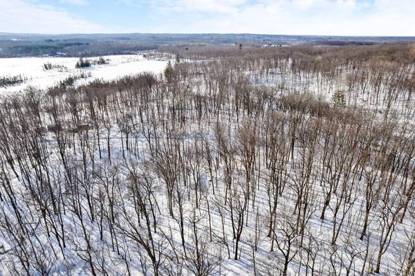 TBD Chestnut Ln, Garrison, MN 56450