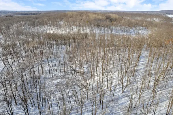 TBD Chestnut Ln, Garrison, MN 56450