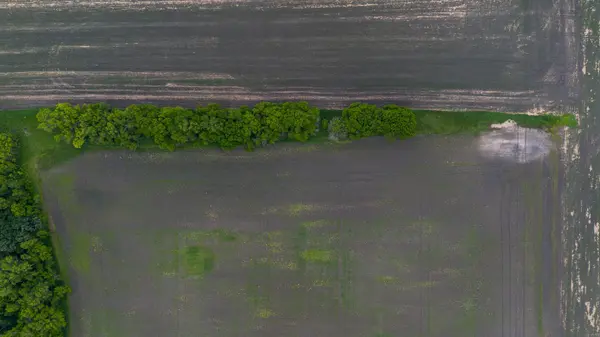 TBD State Hwy 200, Hendrum, MN 56550