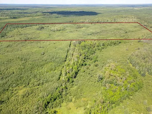 tbd road access, Cotton, MN 55724