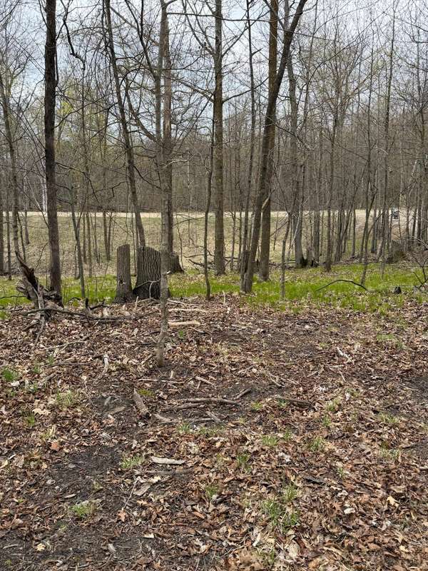 LOT 7 SW Pickerel Lake RD, Detroit Lakes, MN 56501