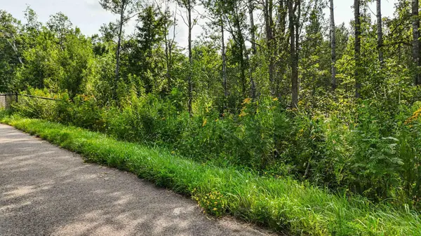 TBD1 Winter Creek CT, Nisswa, MN 56468