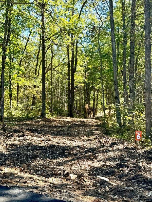 TBD6 Winter Creek CT, Nisswa, MN 56468